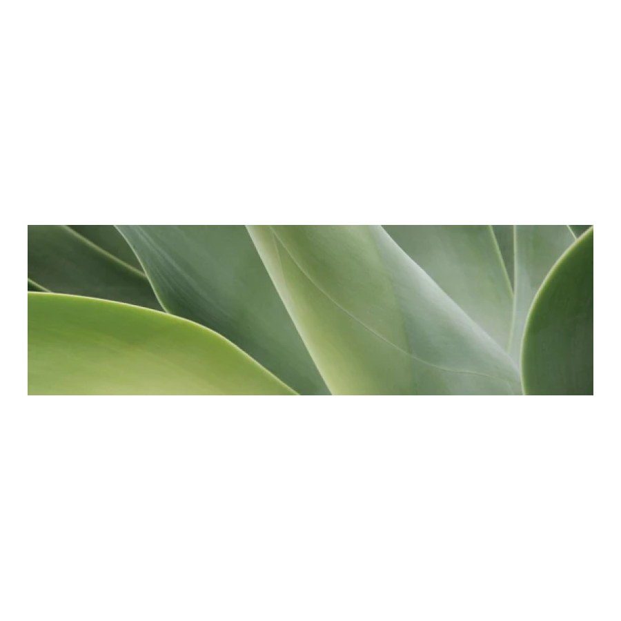 VITAL A+ - Premium-Hautpflege